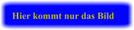 Hier kommt nur das Bild