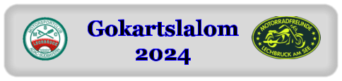 Gokartslalom2024